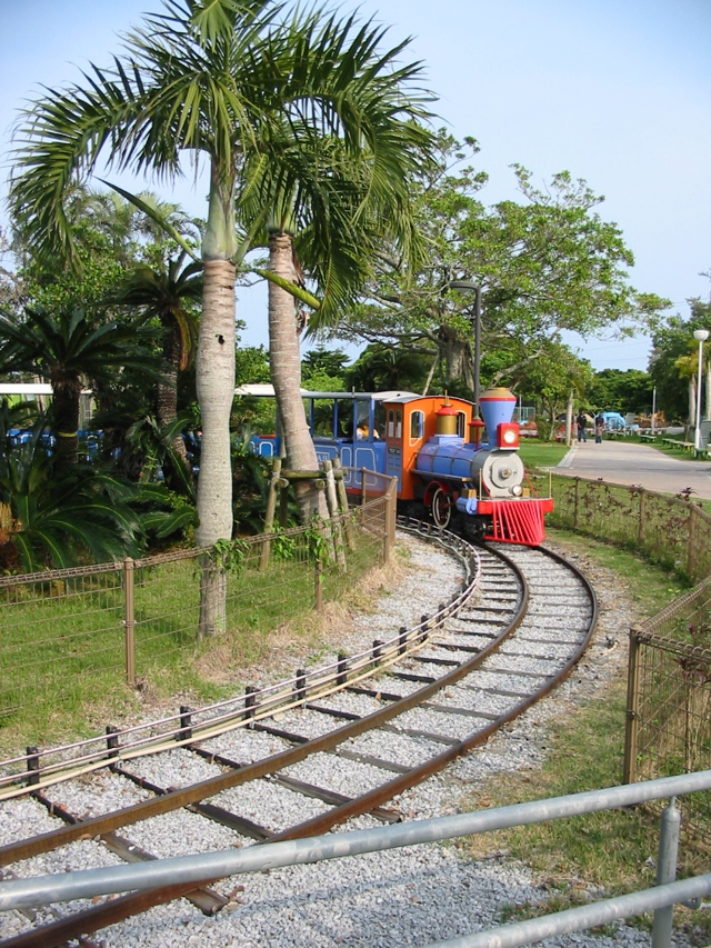 steve in okinawa 267