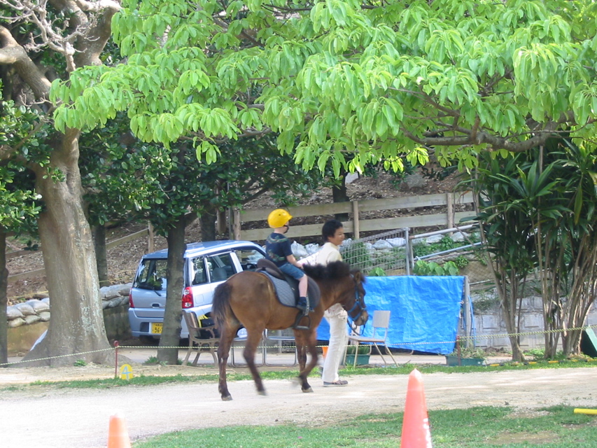 steve in okinawa 277