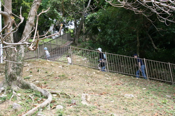 steve in okinawa 013