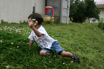 steve in okinawa 048